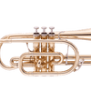 Mastering the Melodic Charm: Finding Your Sound with Trigger Cornet