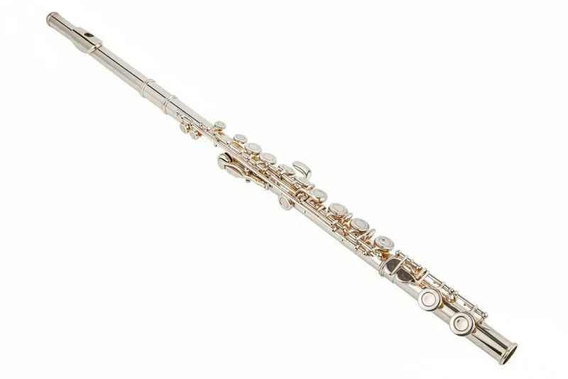 16-Key C Flute with Closed Holes, Silver-Plated Body, Offset G Design for Beginners and Students - premium flute for student orchestra and band