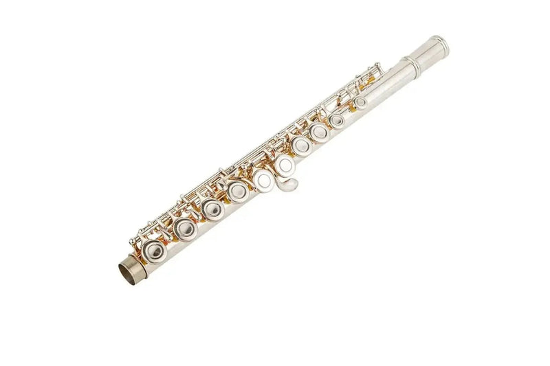 16-Key C Flute with Closed Holes, Silver-Plated Body, Offset G Design for Beginners and Students - premium flute for student orchestra and band