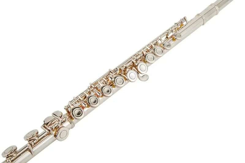 16-Key C Flute with Closed Holes, Silver-Plated Body, Offset G Design for Beginners and Students - premium flute for student orchestra and band