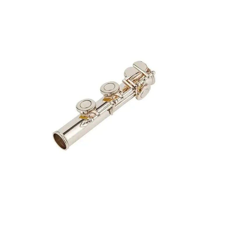 16-Key C Flute with Closed Holes, Silver-Plated Body, Offset G Design for Beginners and Students - premium flute for student orchestra and band