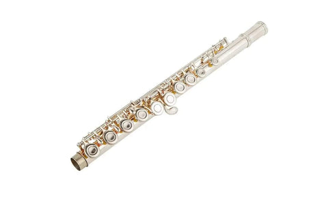 Aurosus Student Flute - Aurosus Instrument