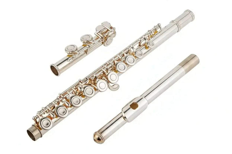 16-Key C Flute with Closed Holes, Silver-Plated Body, Offset G Design for Beginners and Students - premium flute for student orchestra and band