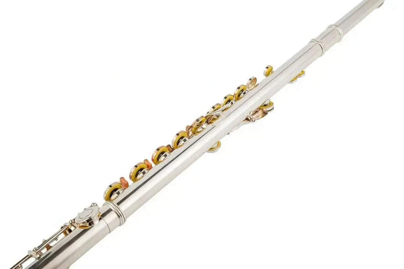 16-Key C Flute with Closed Holes, Silver-Plated Body, Offset G Design for Beginners and Students - premium flute for student orchestra and band
