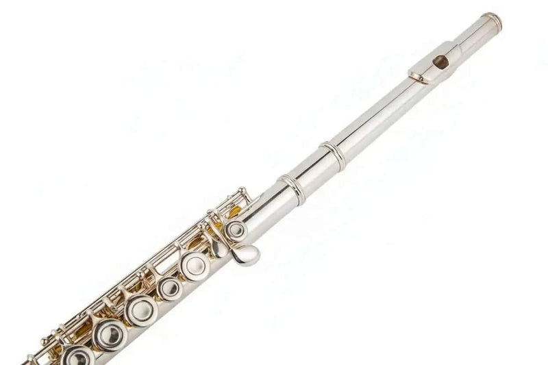 16-Key C Flute with Closed Holes, Silver-Plated Body, Offset G Design for Beginners and Students - premium flute for student orchestra and band