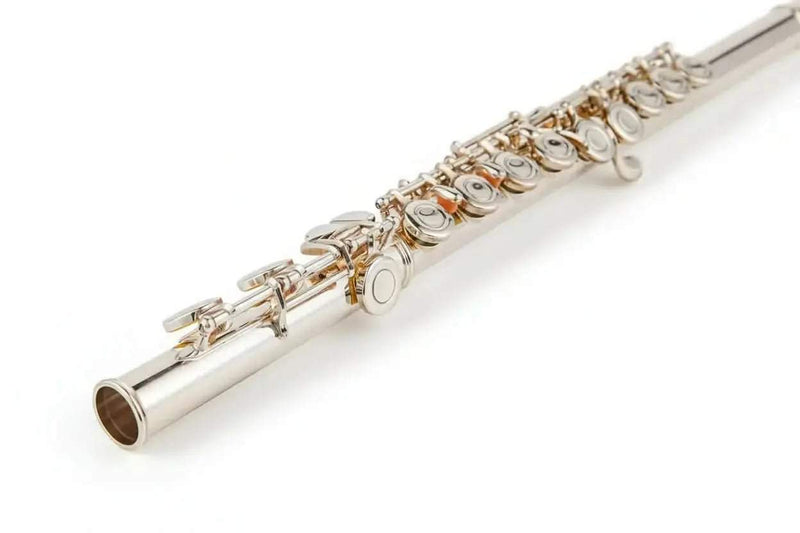 Aurosus Student Flute - Aurosus Instrument