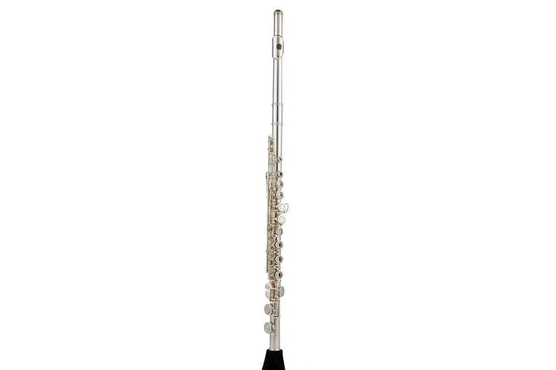 Aurosus Student Flute - Aurosus Instrument
