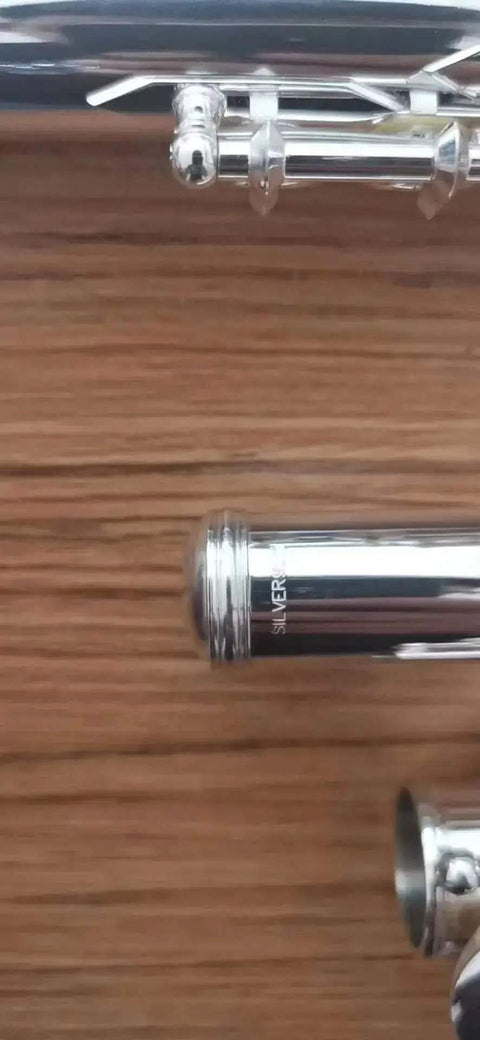 17-Key Open-Hole Flute, 925 Silver with C/E Keys, B Foot - premium flute for student orchestra and band