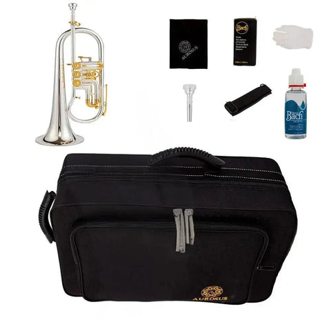 24R Edition Flugelhorn Flugel horn with rotary valves - musical instrument for students and music education