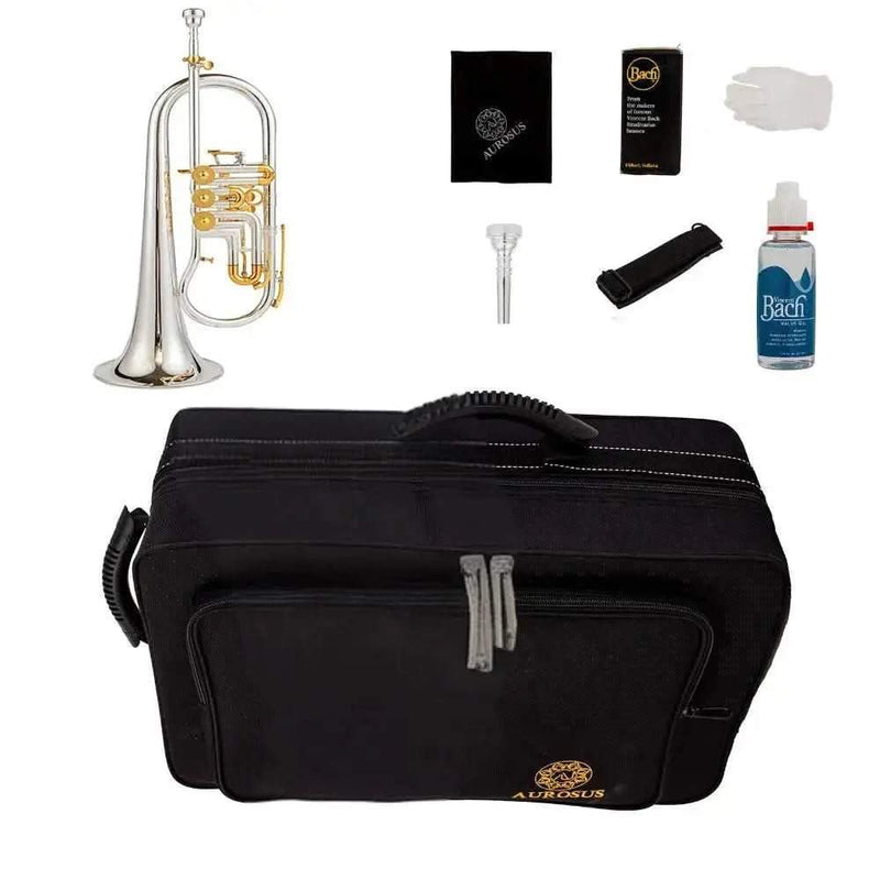 24R Edition Flugelhorn Flugel horn with rotary valves - musical instrument for students and music education
