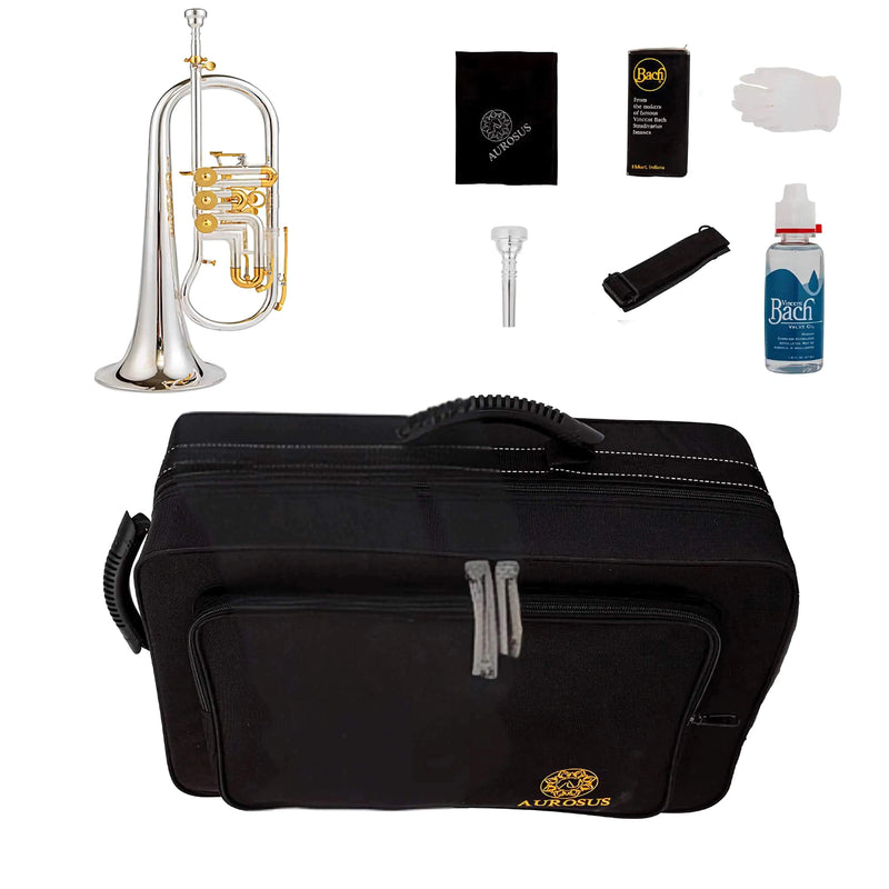 24R Edition Flugelhorn Flugel horn with rotary valves - musical instrument for students and music education