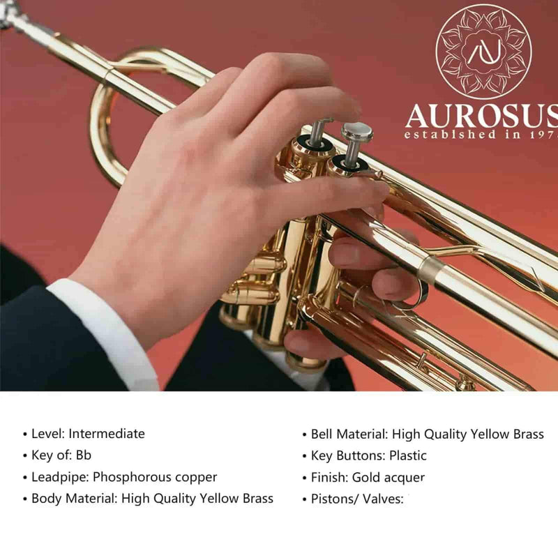 ATR-6331H Student Bb Trumpet Yellow Brass Gold Lacquer - high quality trumpet for student and professional musicians