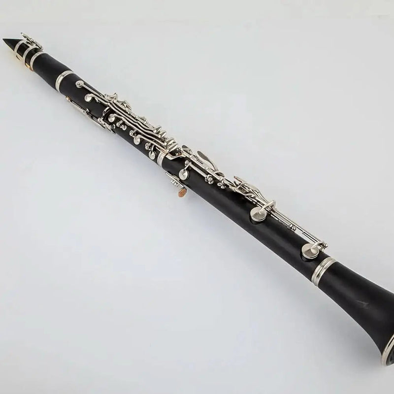 AUROSUS Bb Student Clarinet – ABS Body, 17 Nickel-Plated Keys, Beginner Clarinet Set with Case & Mouthpiece - professional clarinet for music students and performers