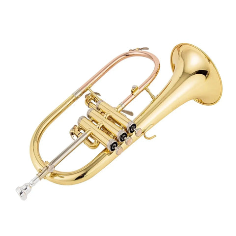 AUROSUS Bb Student Flugelhorn – Brass Body, Gold-Plated Shell Valves, Easy-Play Beginner Set with Mouthpiece & Case - musical instrument for students and music education