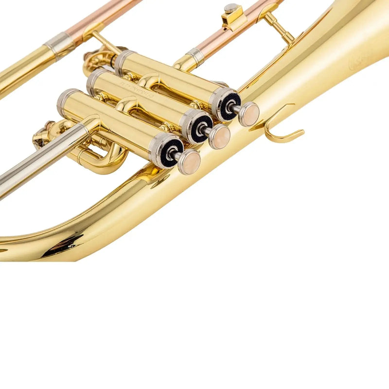 AUROSUS Bb Student Flugelhorn – Brass Body, Gold-Plated Shell Valves, Easy-Play Beginner Set with Mouthpiece & Case - musical instrument for students and music education