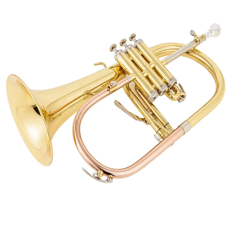 AUROSUS Bb Student Flugelhorn – Brass Body, Gold-Plated Shell Valves, Easy-Play Beginner Set with Mouthpiece & Case - musical instrument for students and music education