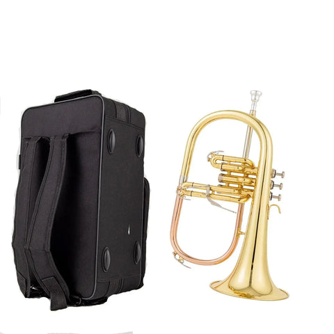 AUROSUS Bb Student Flugelhorn – Brass Body, Gold-Plated Shell Valves, Easy-Play Beginner Set with Mouthpiece & Case - musical instrument for students and music education