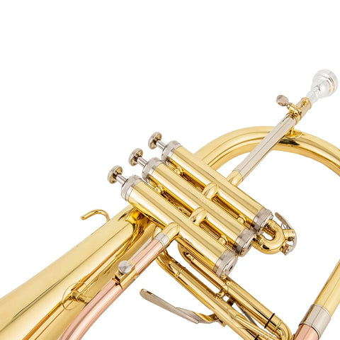 AUROSUS Bb Student Flugelhorn – Brass Body, Gold-Plated Shell Valves, Easy-Play Beginner Set with Mouthpiece & Case - Aurosus Instrument
