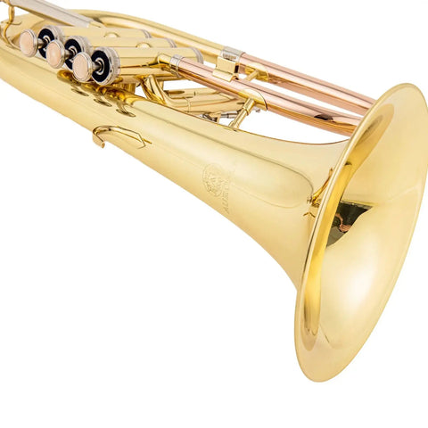 AUROSUS Bb Student Flugelhorn – Brass Body, Gold-Plated Shell Valves, Easy-Play Beginner Set with Mouthpiece & Case - Aurosus Instrument
