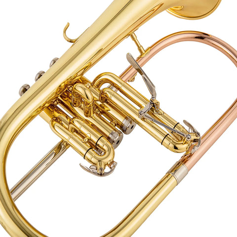 AUROSUS Bb Student Flugelhorn – Brass Body, Gold-Plated Shell Valves, Easy-Play Beginner Set with Mouthpiece & Case - Aurosus Instrument