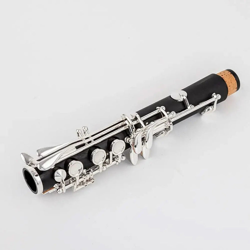 AUROSUS DC-S7 Bb Student Clarinet – ABS Body, Silver-Plated Keys, Complete Beginner Clarinet Set for School Band - professional clarinet for music students and performers