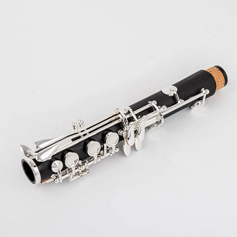 AUROSUS DC-S7 Bb Student Clarinet – ABS Body, Silver-Plated Keys, Complete Beginner Clarinet Set for School Band - Aurosus Instrument