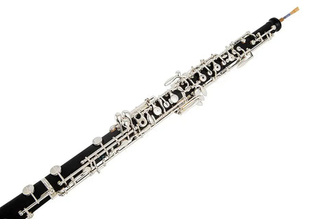 AUROSUS high-pitched oboe instrument3
