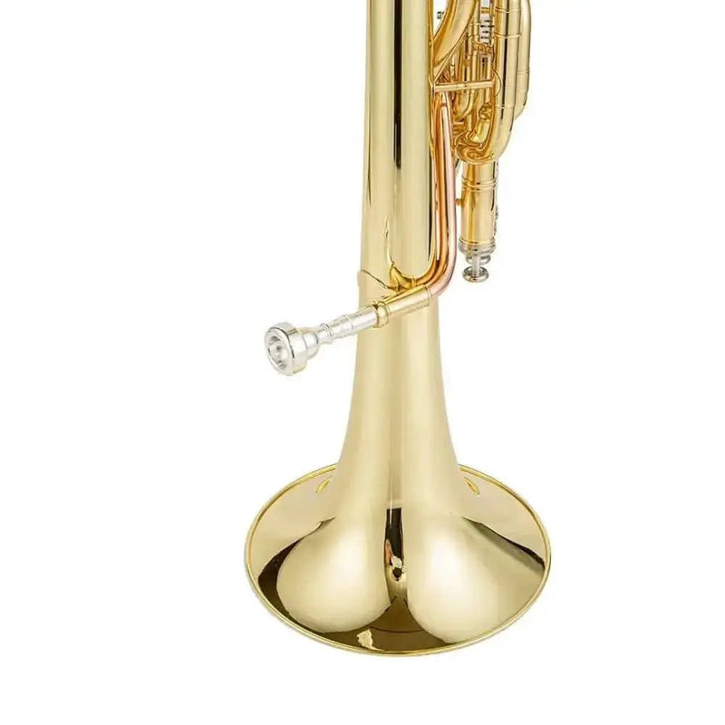 AUROSUS Student Alto Horn - 3 Piston Valves, Gold Lacquer, Yellow Brass Bell - musical instrument for students and music education