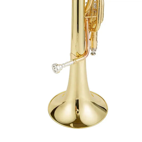 AUROSUS Alto Horn with 3 Piston Valves for Students, Gold Lacquer Finish and Yellow Brass Bell2