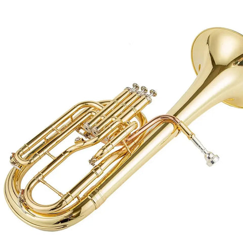 AUROSUS Alto Horn with 3 Piston Valves for Students, Gold Lacquer Finish and Yellow Brass Bell4