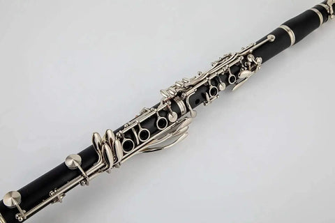 AUROSUS Bb Student Bass Clarinet – ABS Body Low Pitch Clarinet for Beginners and Students - professional clarinet for music students and performers