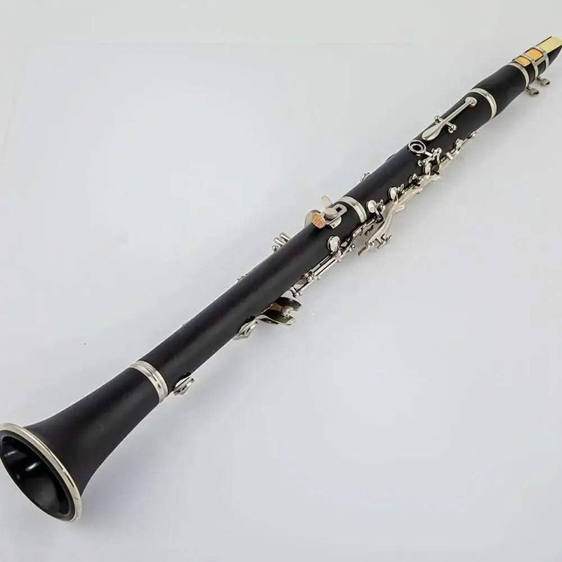 AUROSUS Bb Student Bass Clarinet – ABS Body Low Pitch Clarinet for Beginners and Students - professional clarinet for music students and performers