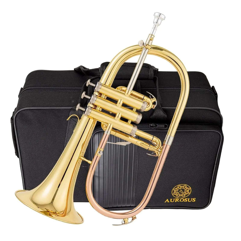 AUROSUS Bb Student Bass Clarinet – ABS Body Low Pitch Clarinet for Beginners and Students - professional clarinet for music students and performers