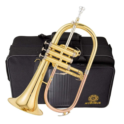AUROSUS Bb Student Bass Clarinet – ABS Body Low Pitch Clarinet for Beginners and Students - professional clarinet for music students and performers