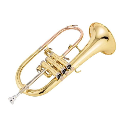 AUROSUS Bb Student Bass Clarinet – ABS Body Low Pitch Clarinet for Beginners and Students - professional clarinet for music students and performers