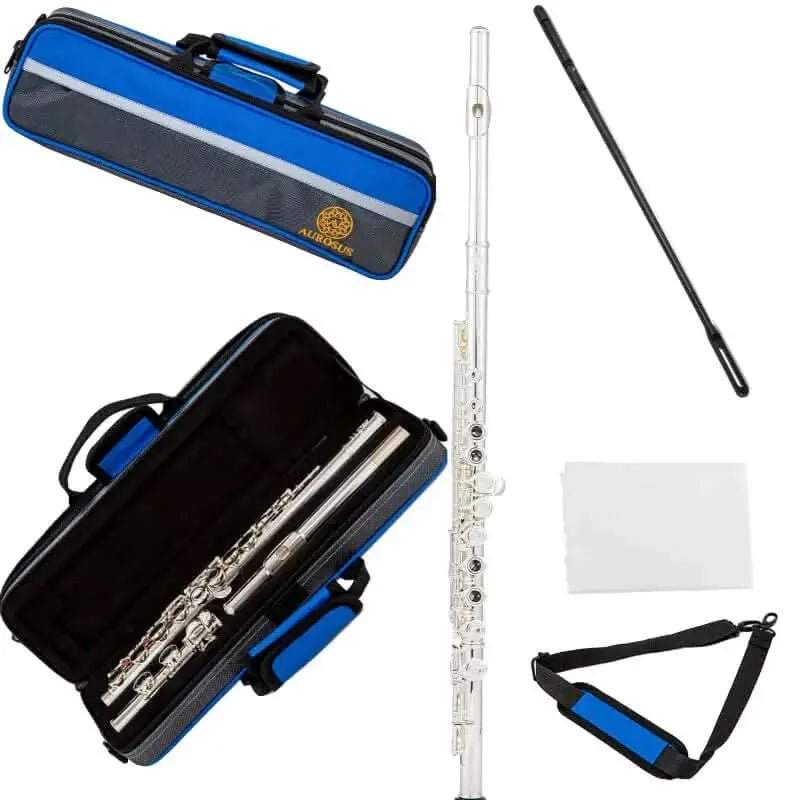 AUROSUS OASIS-SE6 Student Closed-Hole Flute with Offset G, C-Foot, Nickel Silver, Y-Arms - premium flute for student orchestra and band