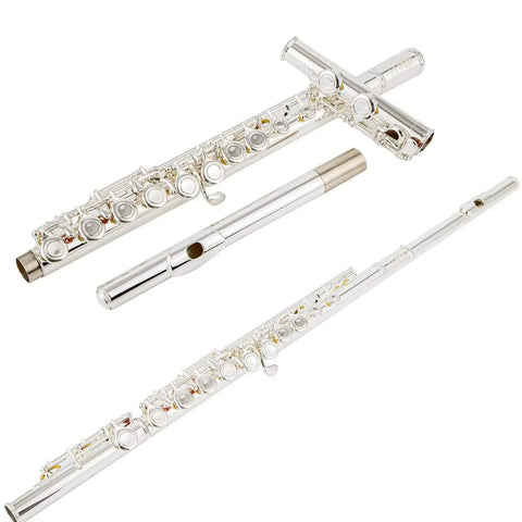 AUROSUS OASIS-SE6 Student Closed-Hole Flute with Offset G, C-Foot, Nickel Silver, Y-Arms - premium flute for student orchestra and band