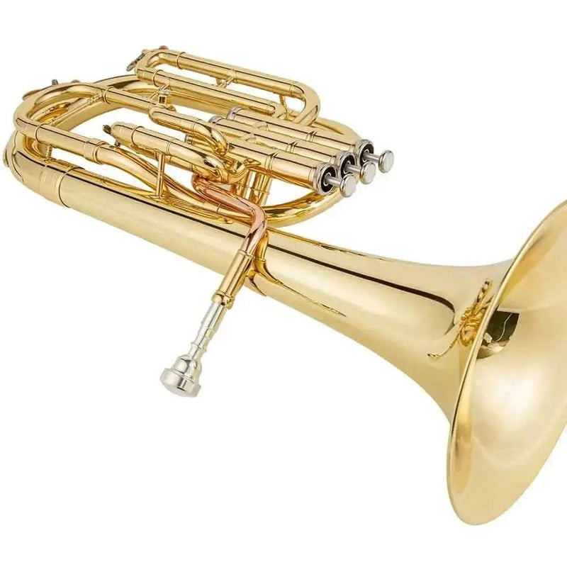 AUROSUS Student Alto Horn - 3 Piston Valves, Gold Lacquer, Yellow Brass Bell - musical instrument for students and music education
