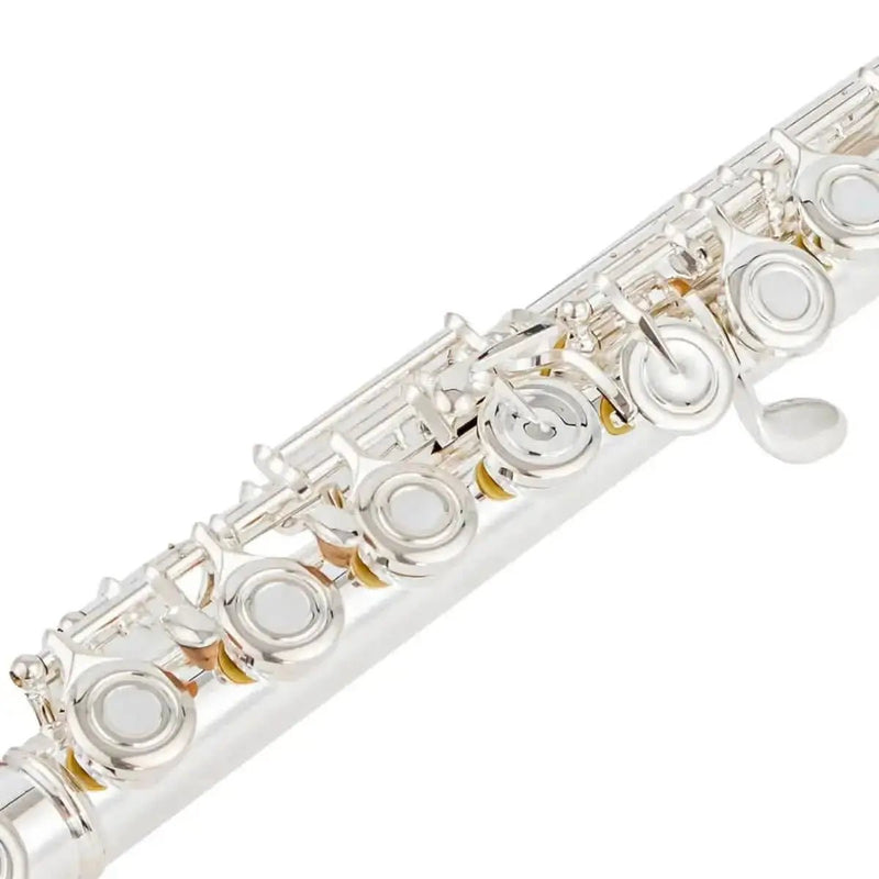Aurosus 17 keys open hole flute for Student Musical Instrument - premium flute for student orchestra and band