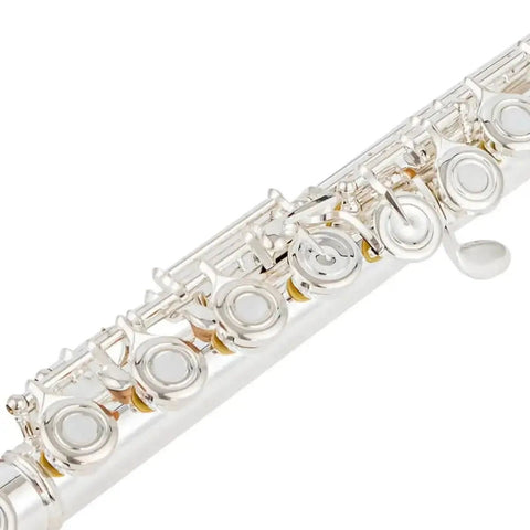 Aurosus 17 keys open hole flute for Student Musical Instrument - premium flute for student orchestra and band