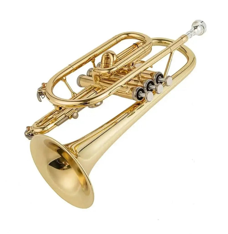 Aurosus JP YCR-4330 Bb Cornet - Yellow Brass, Gold Lacquer Finish - musical instrument for students and music education