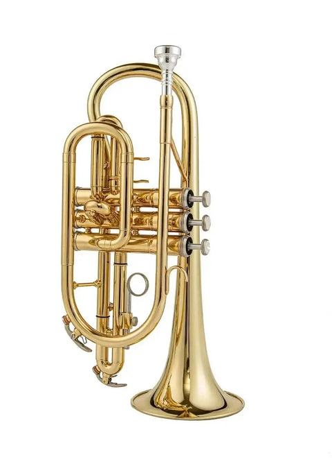 Aurosus JP YCR-4330 Bb Cornet - Yellow Brass, Gold Lacquer Finish - musical instrument for students and music education