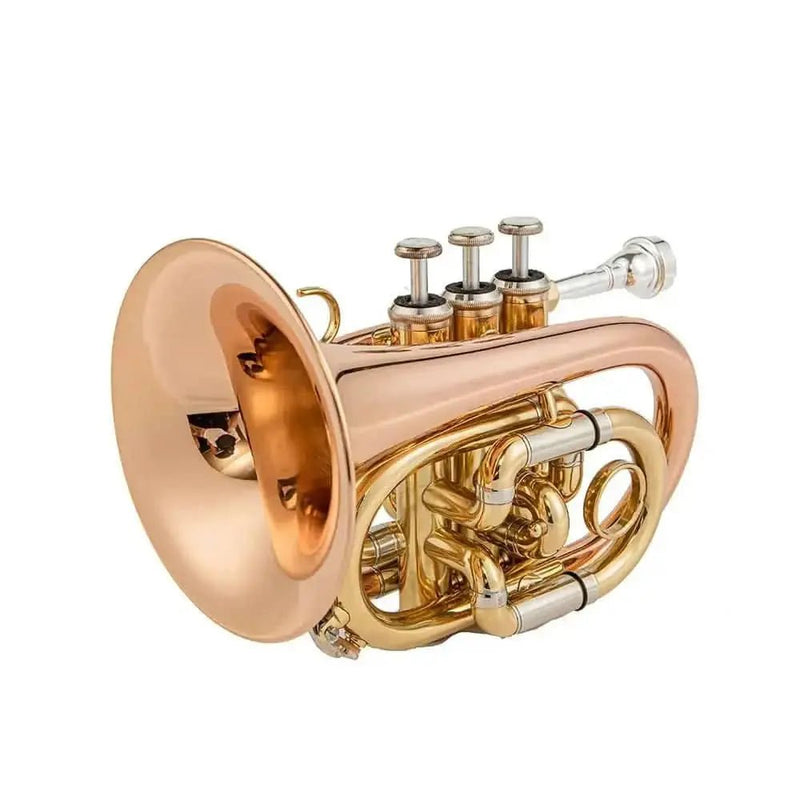 Aurosus TR 5 Bb Pocket Trumpet - Brass, Clear Lacquer Finish, Compact Design - high quality trumpet for student and professional musicians