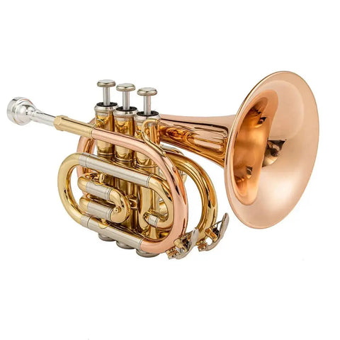 Aurosus TR 5 Bb Pocket Trumpet Clear Lacquer Brass2