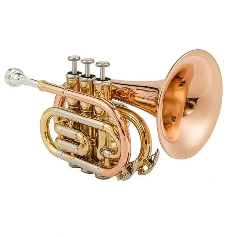 Aurosus TR 5 Bb Pocket Trumpet - Brass, Clear Lacquer Finish, Compact Design - high quality trumpet for student and professional musicians