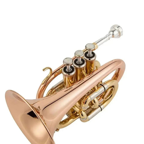 Aurosus TR 5 Bb Pocket Trumpet - Brass, Clear Lacquer Finish, Compact Design - high quality trumpet for student and professional musicians