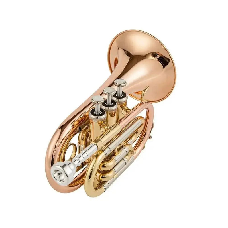 Aurosus TR 5 Bb Pocket Trumpet - Brass, Clear Lacquer Finish, Compact Design - high quality trumpet for student and professional musicians