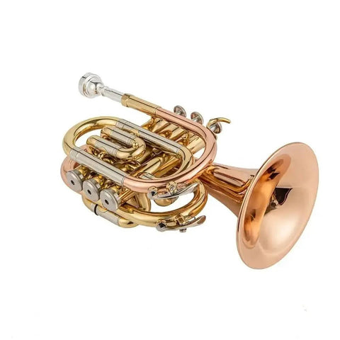 Aurosus TR 5 Bb Pocket Trumpet - Brass, Clear Lacquer Finish, Compact Design - high quality trumpet for student and professional musicians