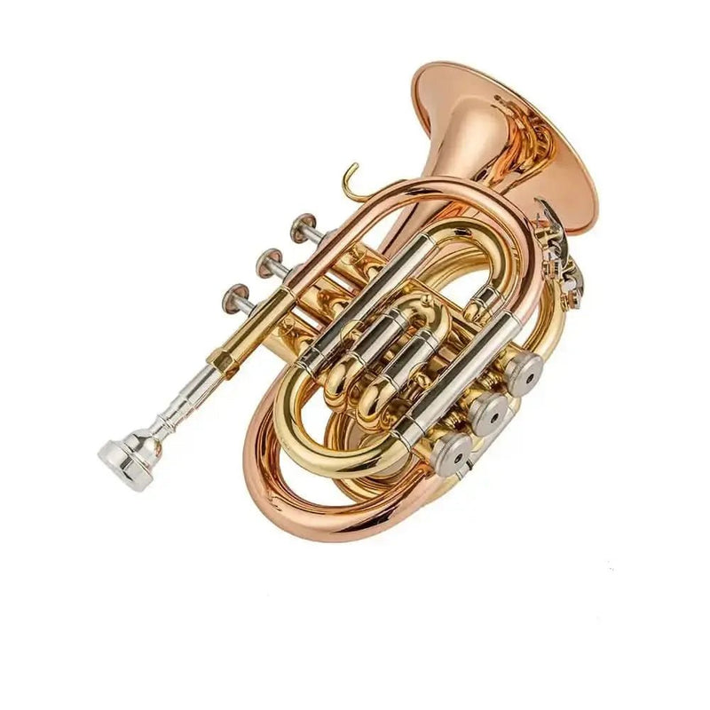 Aurosus TR 5 Bb Pocket Trumpet - Brass, Clear Lacquer Finish, Compact Design - high quality trumpet for student and professional musicians