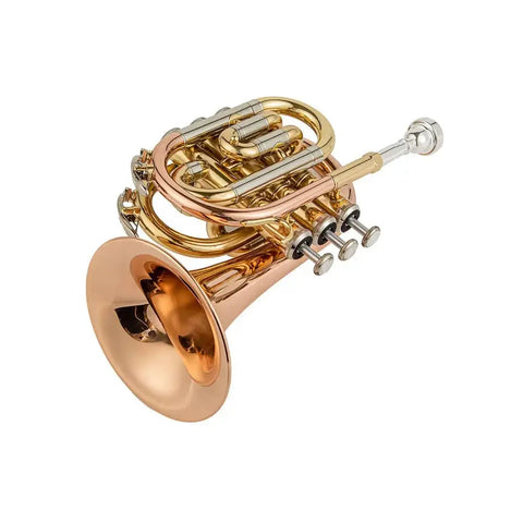Aurosus TR 5 Bb Pocket Trumpet Clear Lacquer Brass4